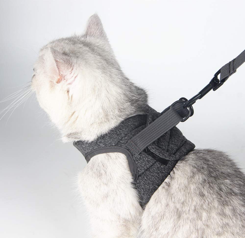 HEYWEAN harnais-chat tailles S/M/L, réglage simple pour un ajustement personnalisé.