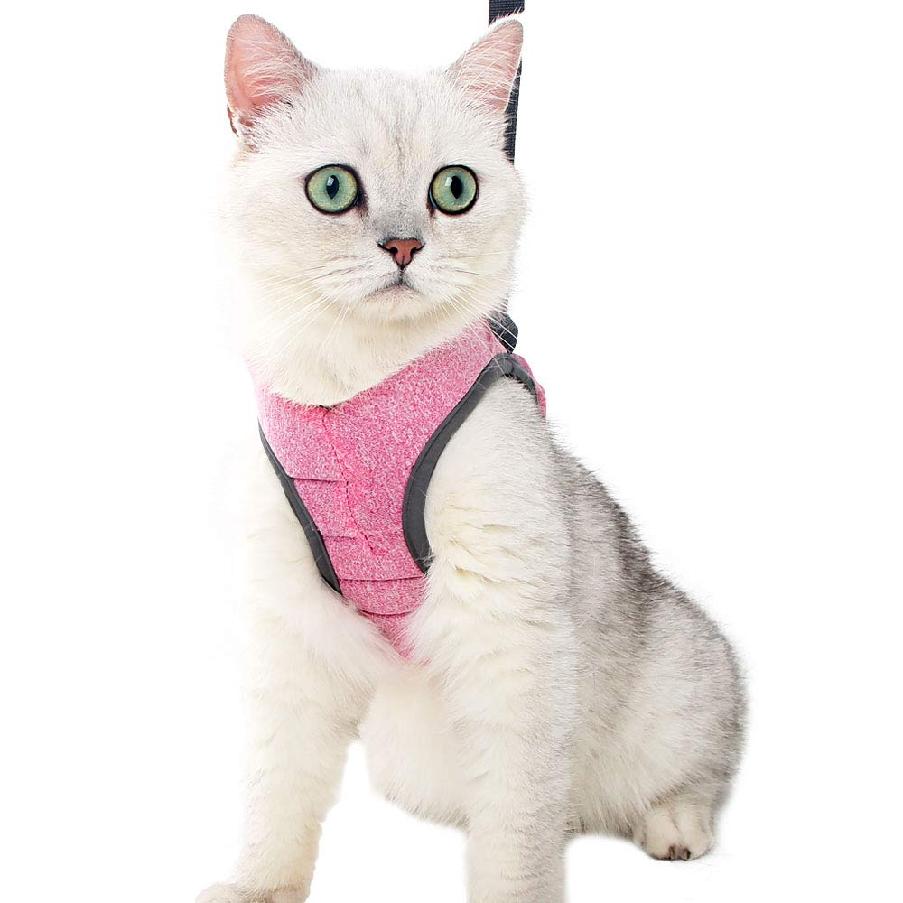HEYWEAN Harnais chat taille L, conçu pour chats de taille moyenne à grande