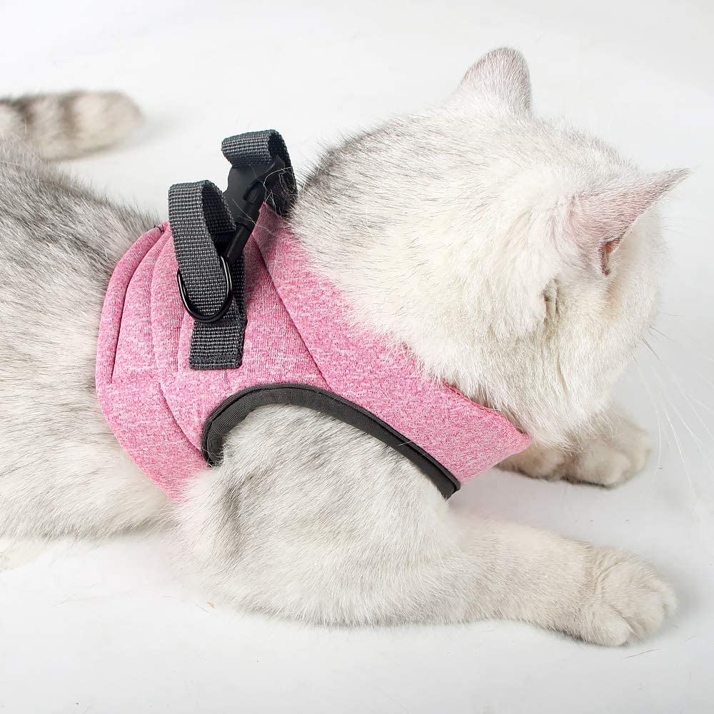 HEYWEAN Harnais chat taille S, conseillé pour petits chats et chatons