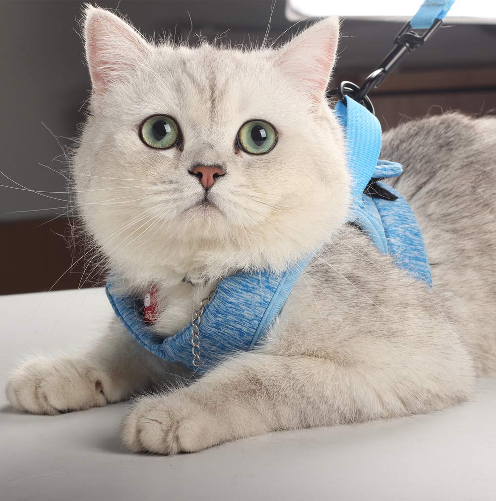 Guide des tailles HEYWEAN harnais chat pour ajustement précis