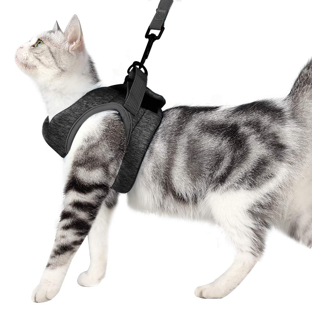 HEYWEAN harnais pour chat ultra léger, confort et liberté lors des promenades.