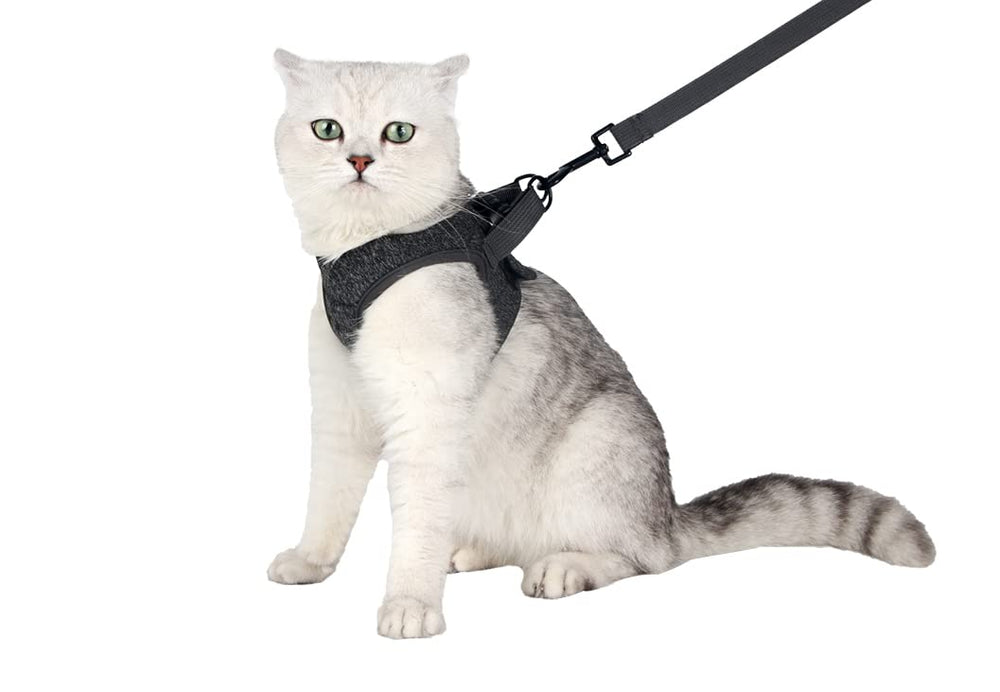 Heywean harnais chat ultra leger – confort poids plume pour promenade