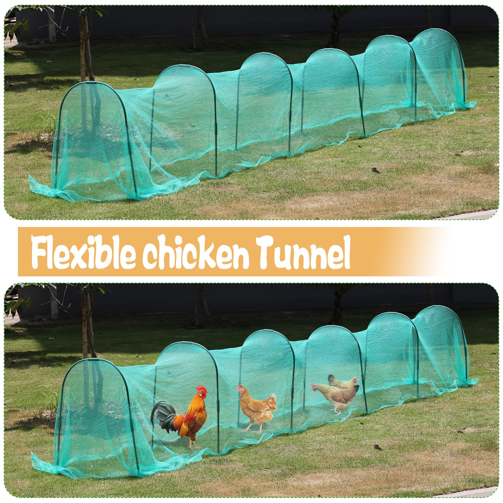 HFYZZ tunnel-poules protection contre prédateurs en extérieur