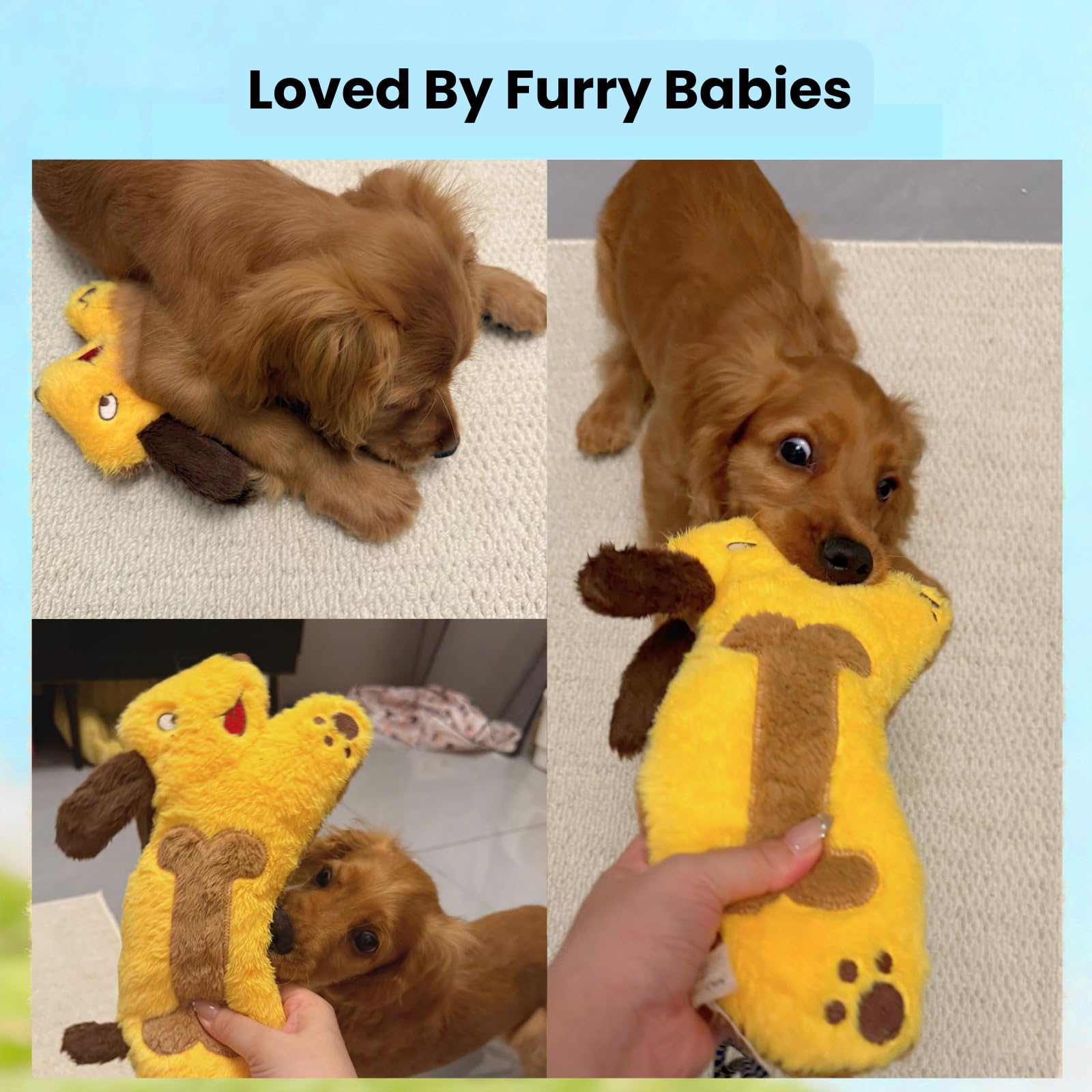 Jouet HGB pour chien gros jeu de traction, idéal pour intérieur.