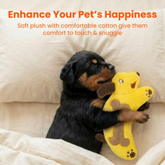 Jouet HGB pour chien gros avec texture dentition, massage des gencives.