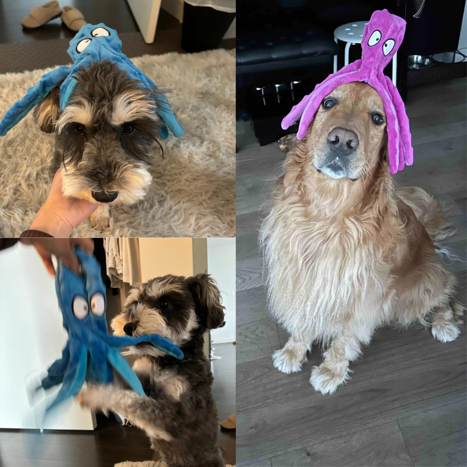 Poulpe taille 32 cm, jouet polyvalent pour chiens de toutes tailles.