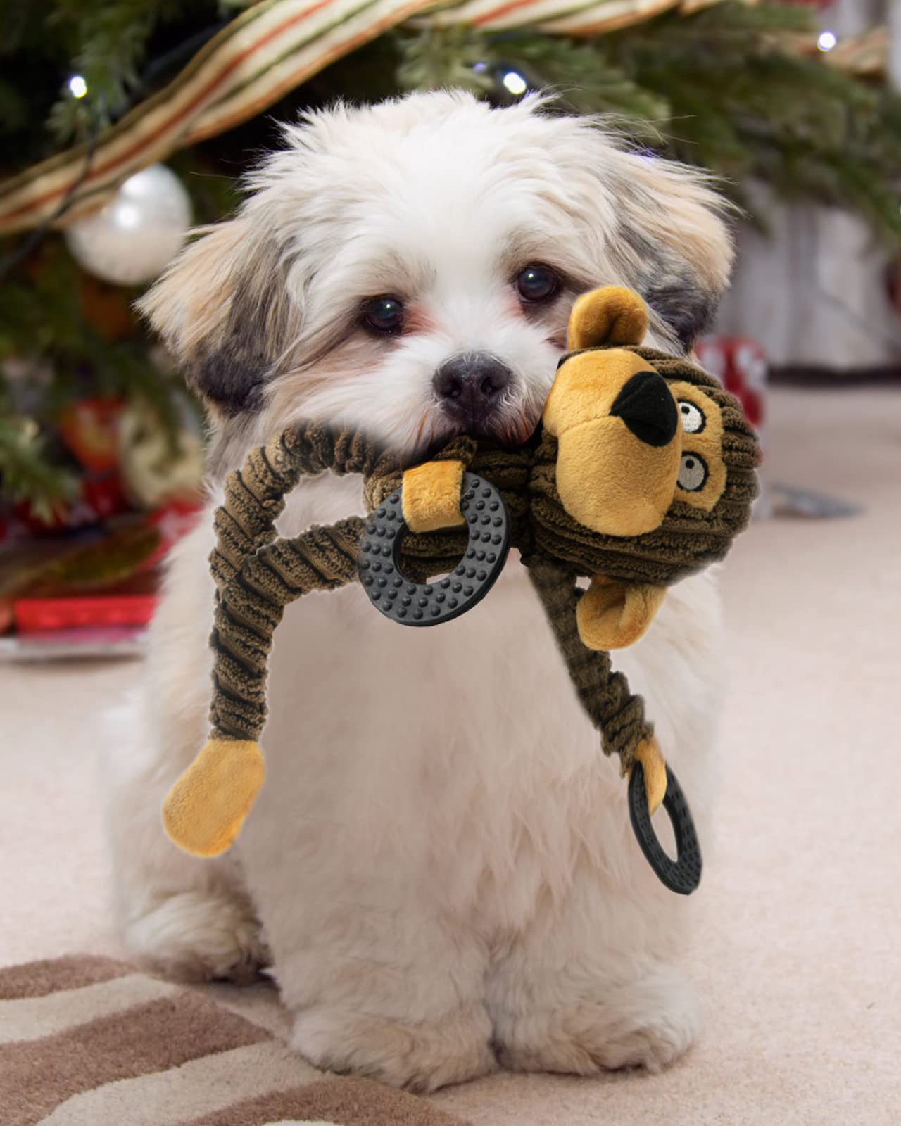 Jouet HGB peluche lavable pour petits chiens