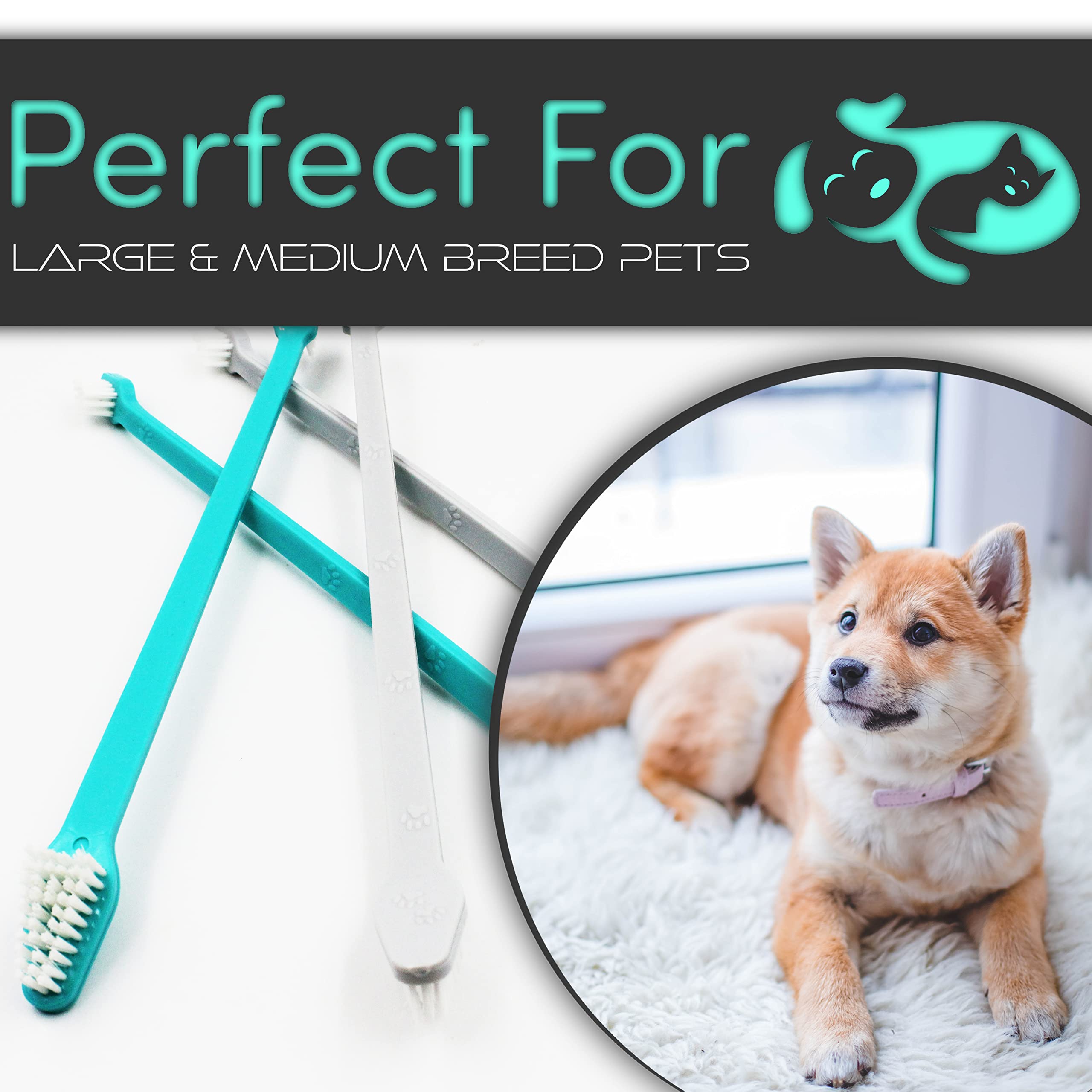 Premier plan sur les brins doux HH-Pets, nettoyage en douceur.