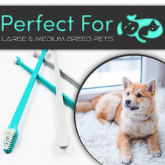 Premier plan sur les brins doux HH-Pets, nettoyage en douceur.