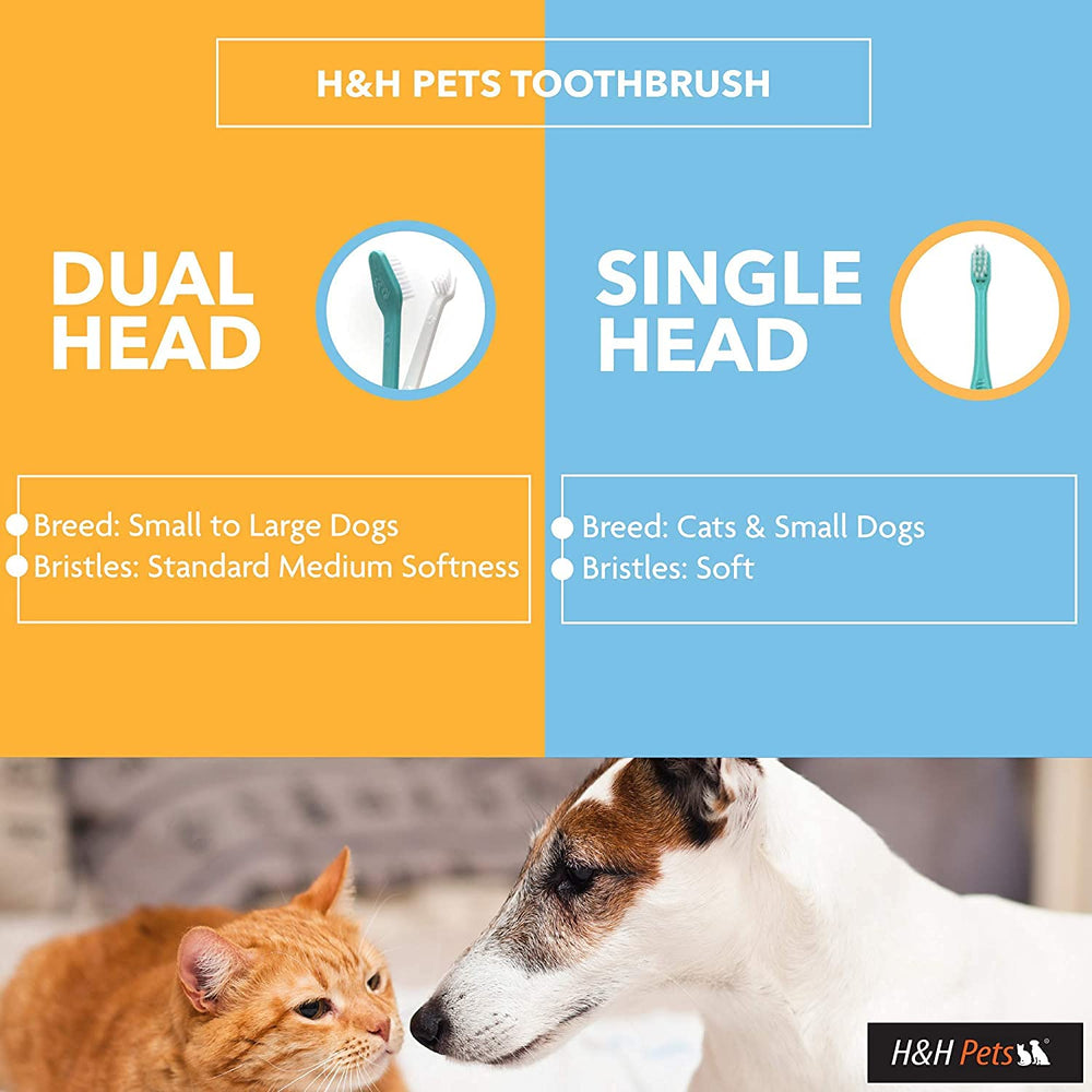 Brosse dentaire H&H Pets — ensemble de 8 pièces, parfaite pour plusieurs compagnons.