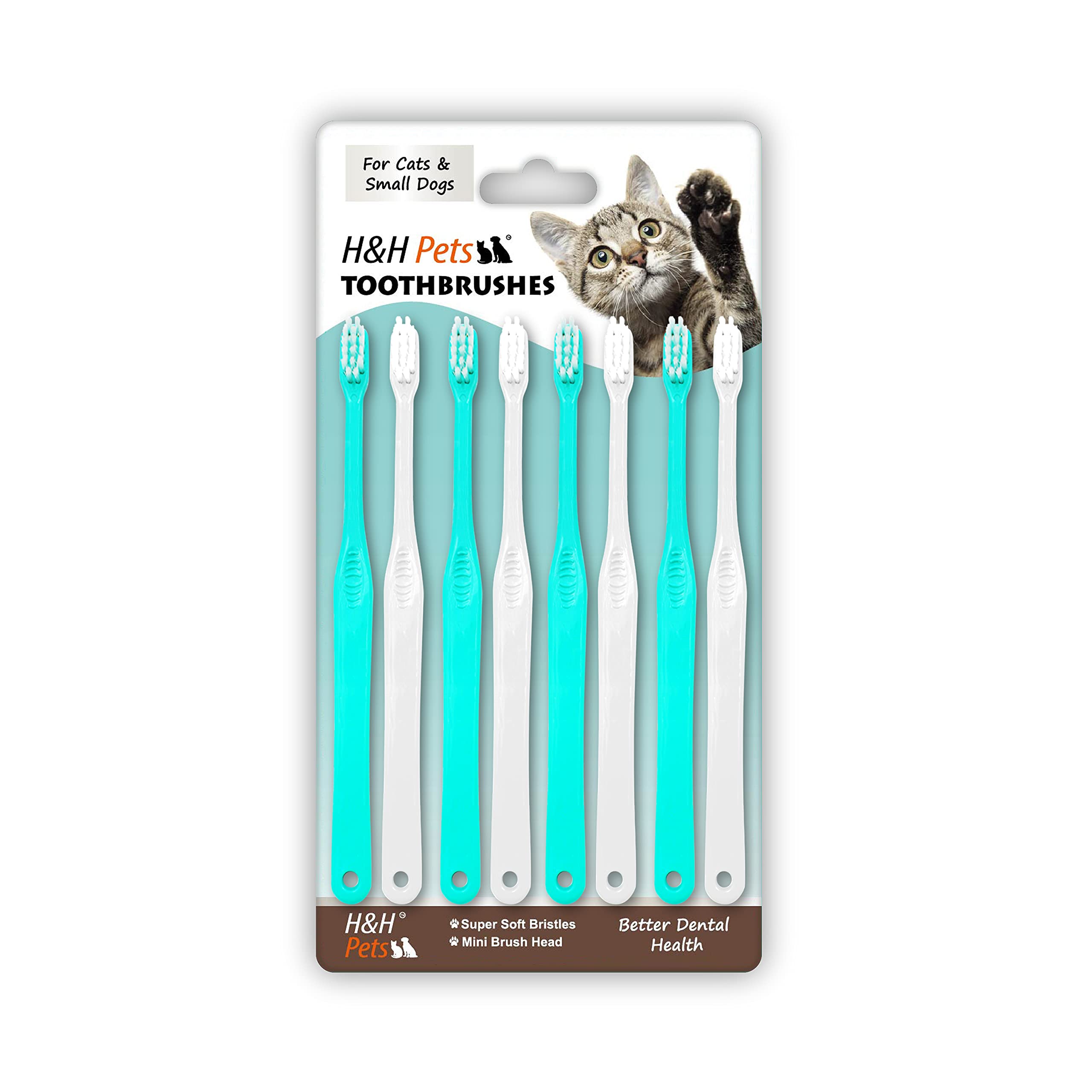 Brosse dentaire H&H Pets pour petits chiens et chats — premier plan, brins ultra-doux pour plaque.