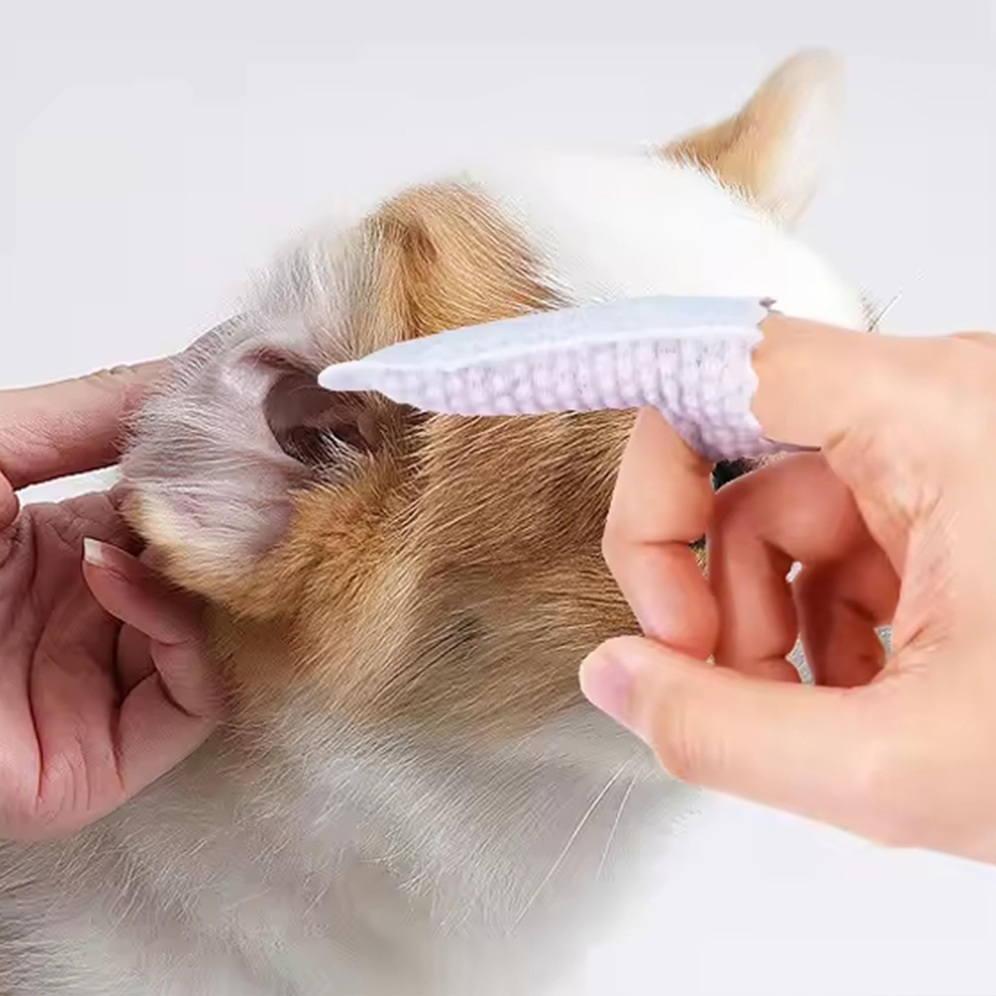 H&amp;H Pets emballage de 60 lingettes dentaires pratique