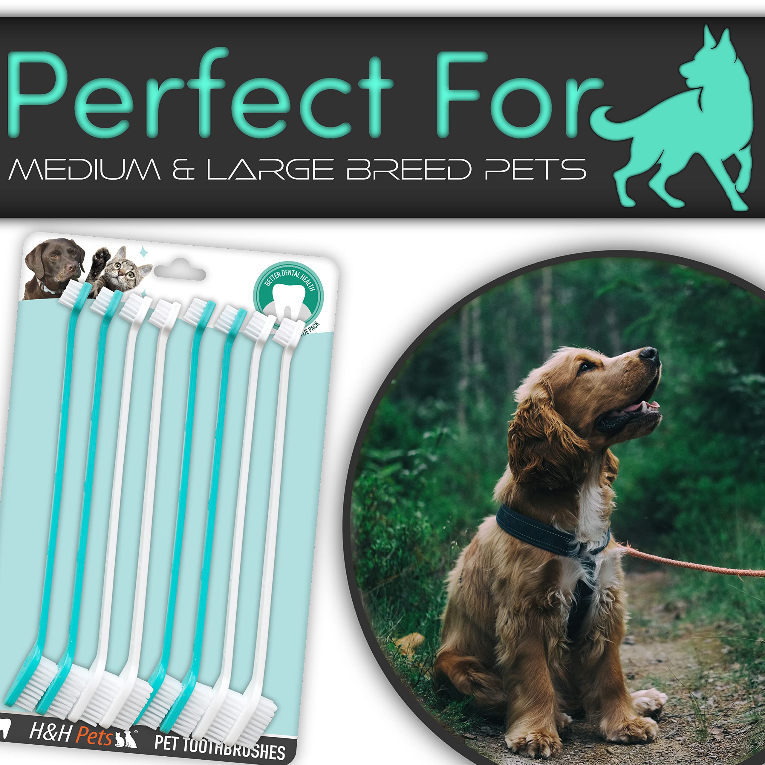 Emballage HH-Pets avec garantie 60 jours, achat en confiance.