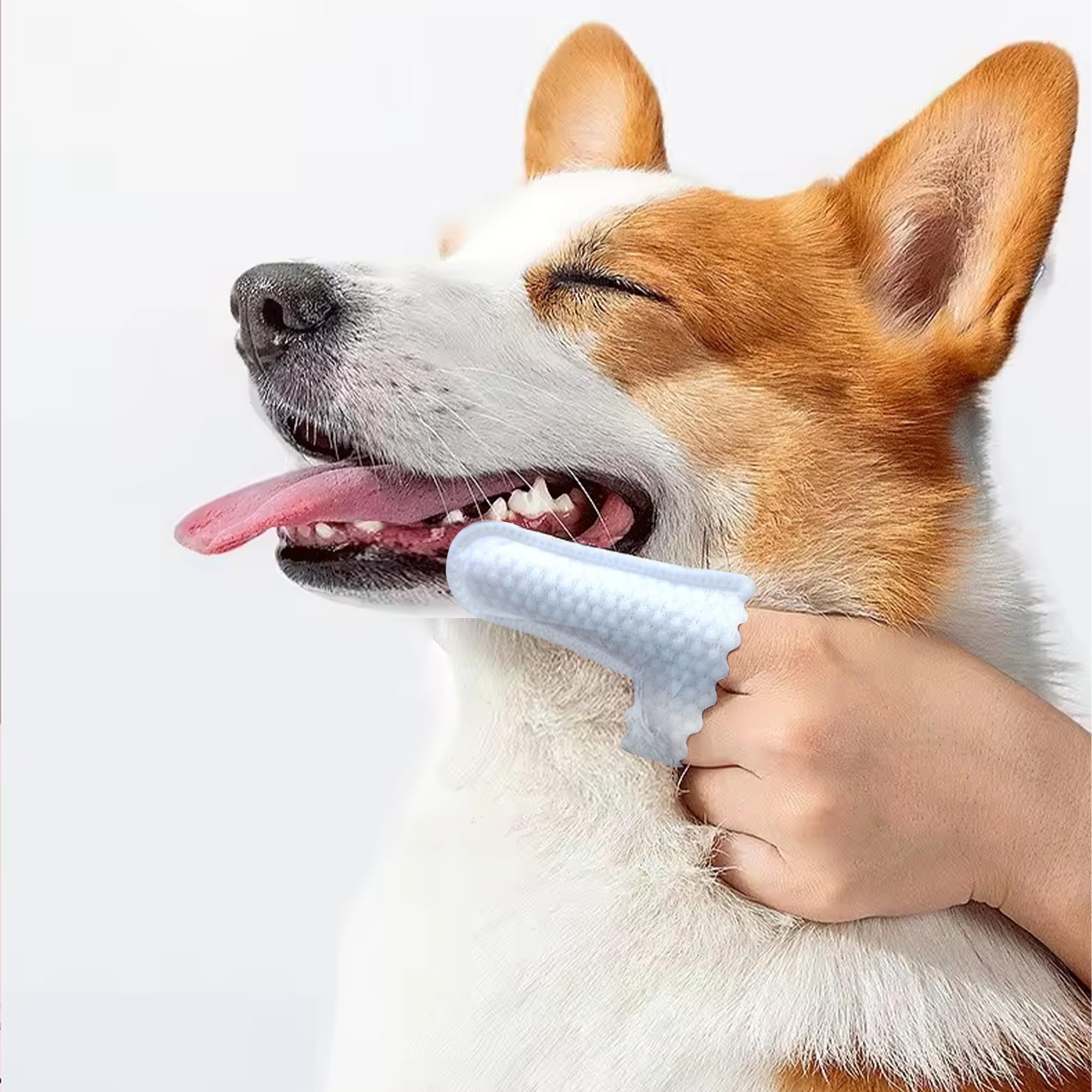 H&amp;H Pets usage sec sur doigt, pratique et rapide pour débutants