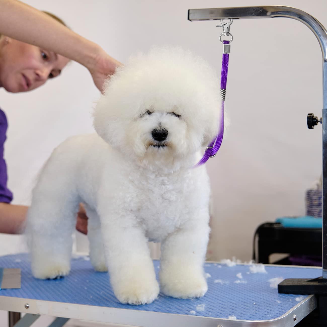 HhiMyOct ensemble trois couleurs pour chien, pratique à la maison.