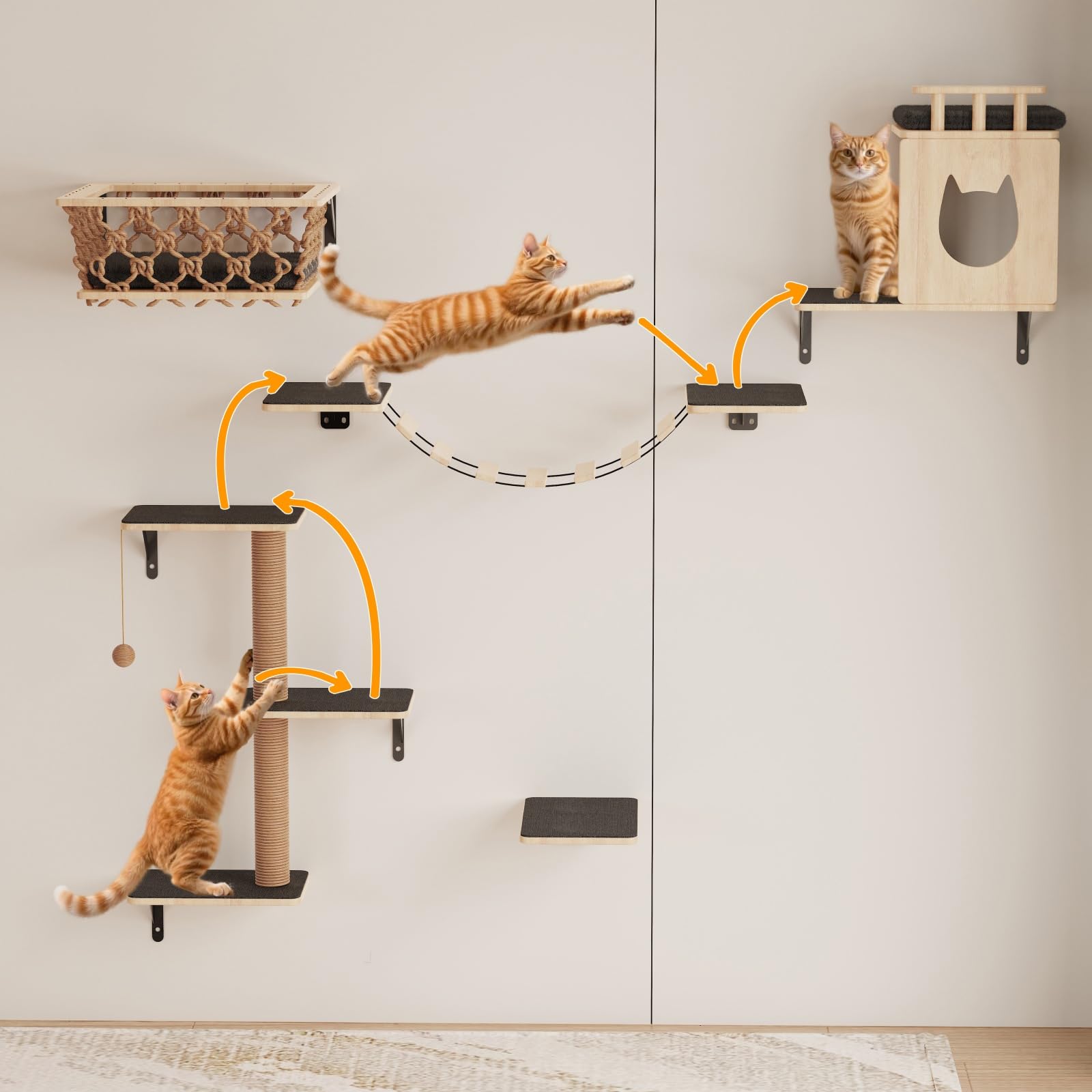 HHOFURN ensemble gris 5-en-1, solution murale polyvalente pour chats.