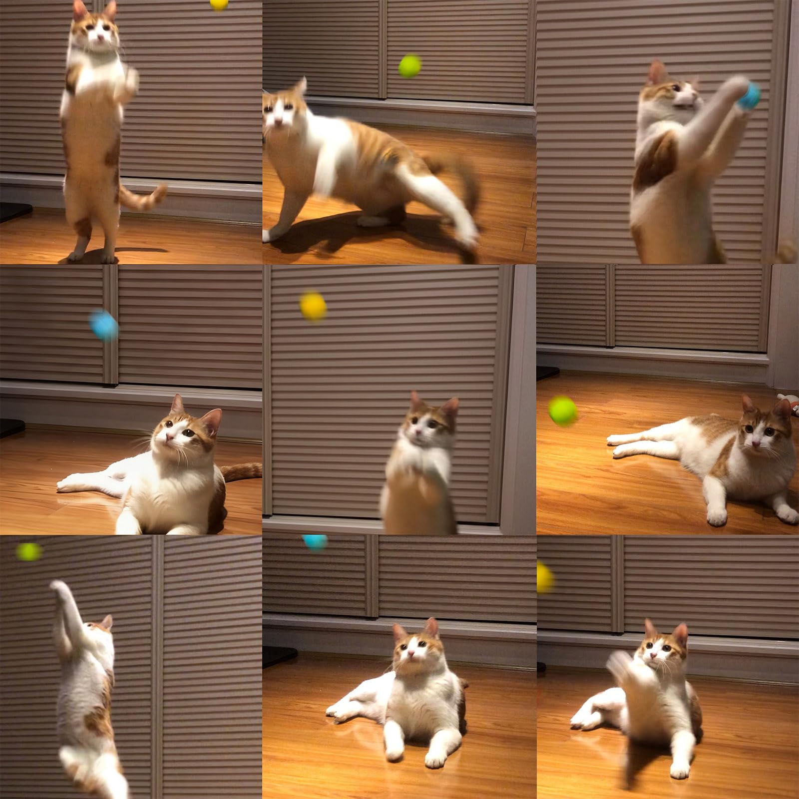 Hi Purr – balle verte en laine, légère et durable pour le jeu.