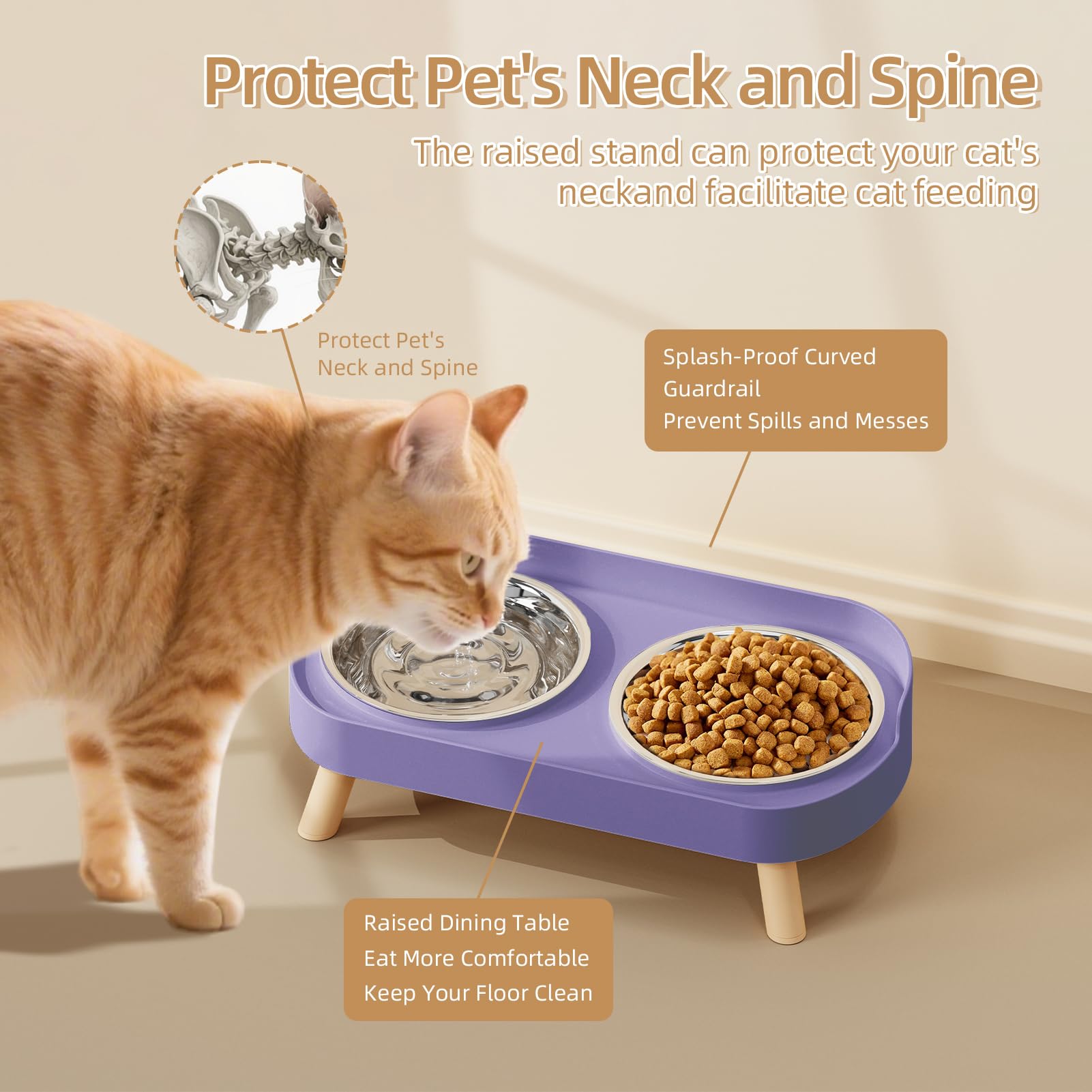 Bols inox HIAIEVIY pour chats, ensemble durable pour repas quotidiens.