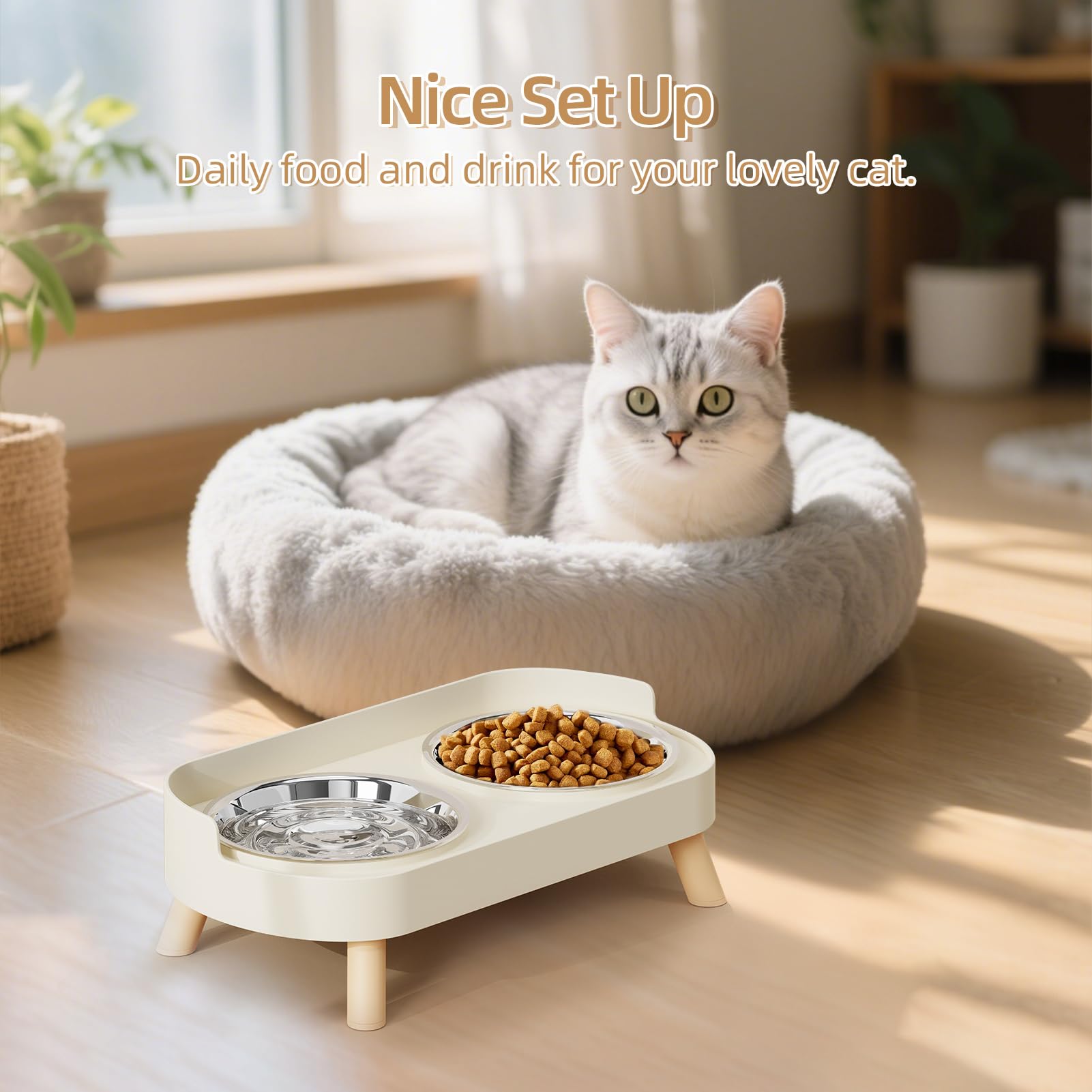 HIAIEVIY ensemble pratique pour chats et chiots lors des repas.