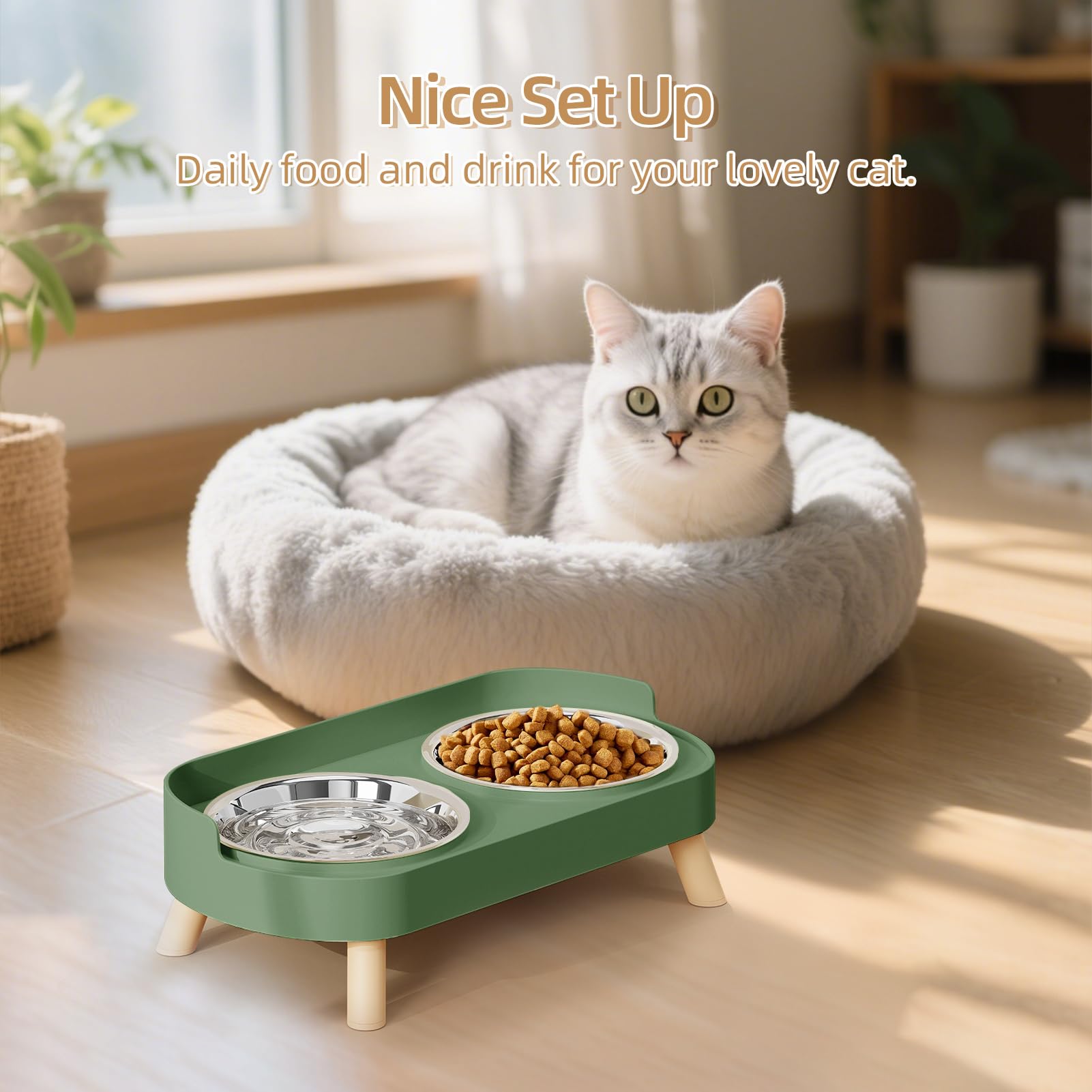 HIAIEVIY: utilisation intérieure pratique pour chats et chatons.