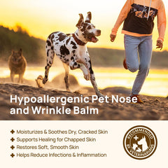Application du baume HICC PET sur le nez du chien pour hydratation rapide