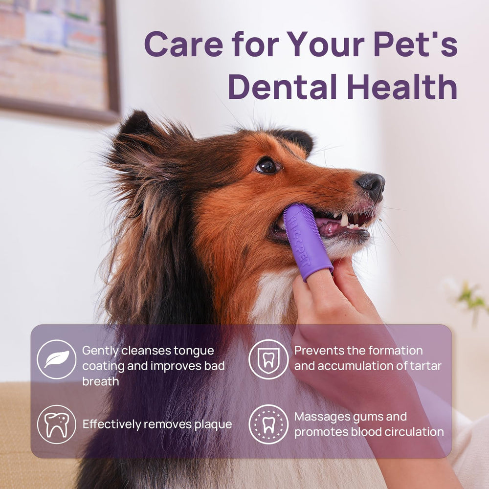 Brosse dentaire pour chien HICC PET, vue arrière, atteindre les zones difficiles.