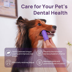 Brosse dentaire pour chien HICC PET, vue arrière, atteindre les zones difficiles.