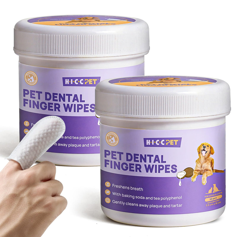 Lingettes dentaires HICC PET dans l'emballage, pratique pour démarrer une routine bucco-dentaire.