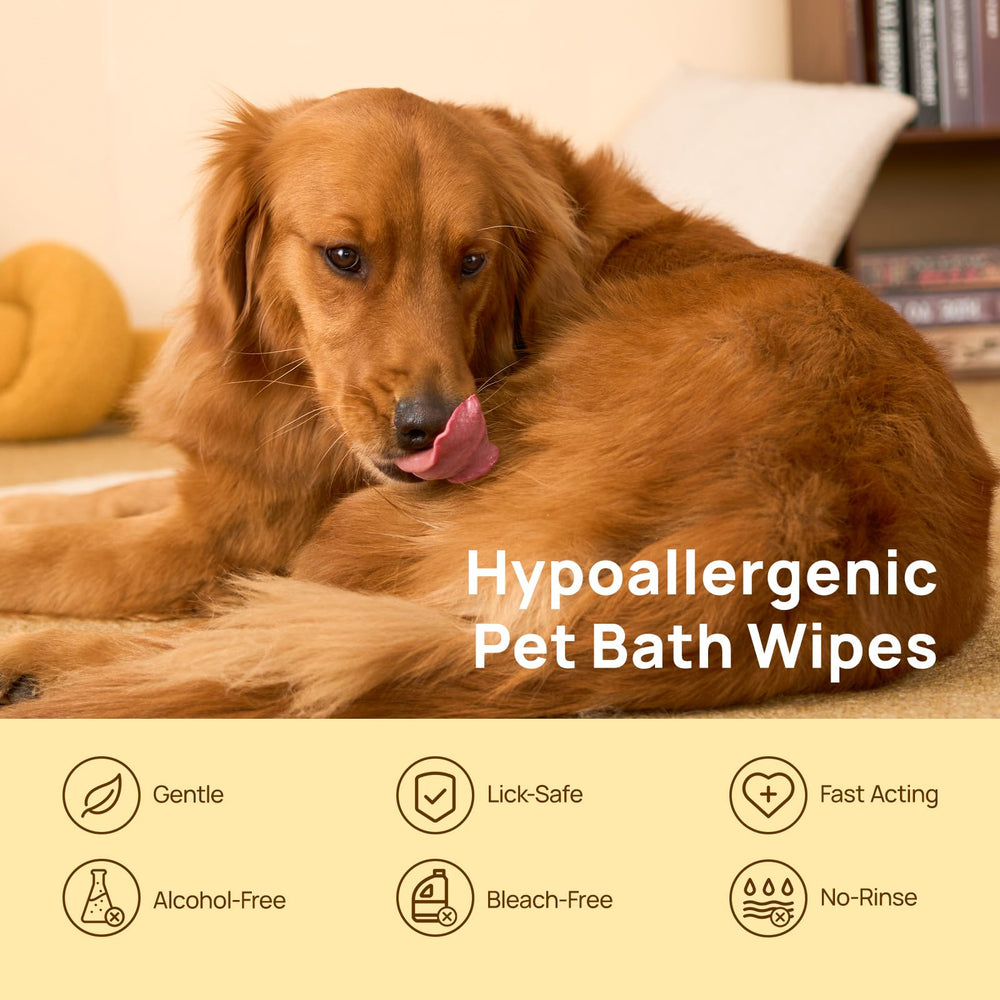 Gants nettoyants HICC PET, nettoyage en douceur du corps du chien.