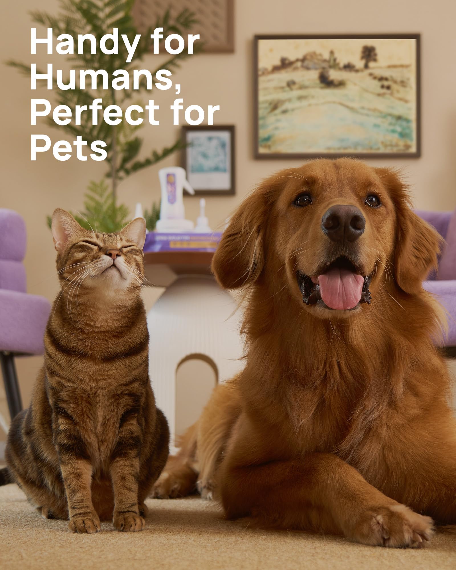 Lingettes yeux HICC PET, adaptées chiens et chats, idéal pour routine quotidienne.