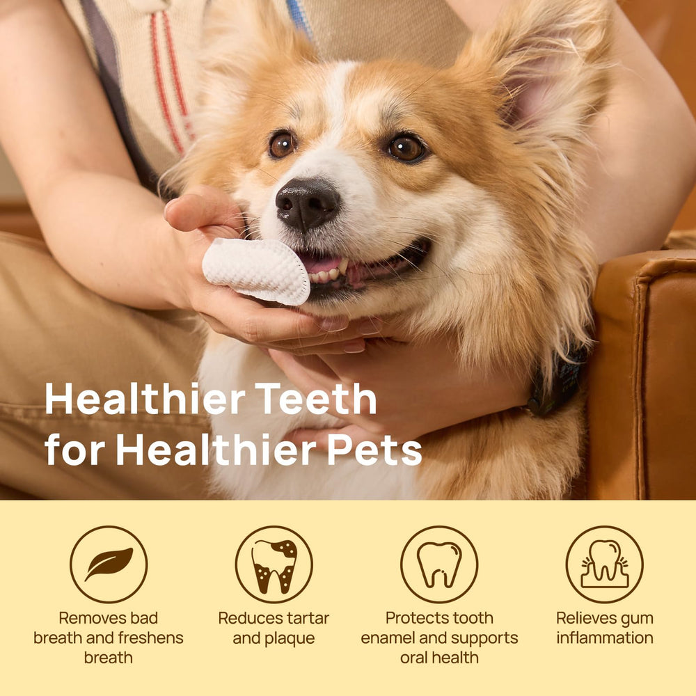 HICC PET nettoie délicatement dents et gencives des chiens et chats.