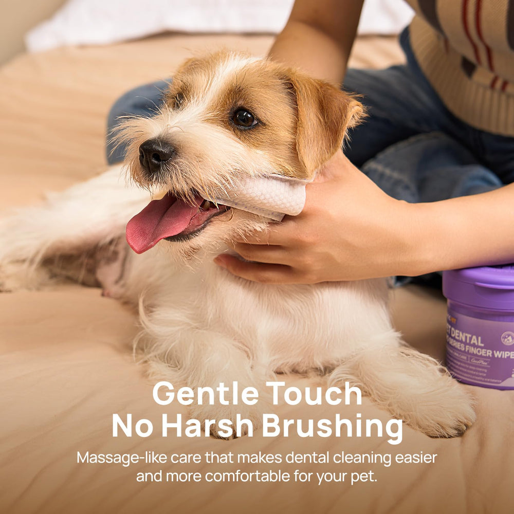 HICC PET Polyvalent pour chiens et chats, facile à intégrer dans la routine.