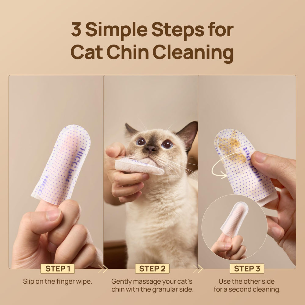 Routine quotidienne avec les lingettes HICC PET pour chat.