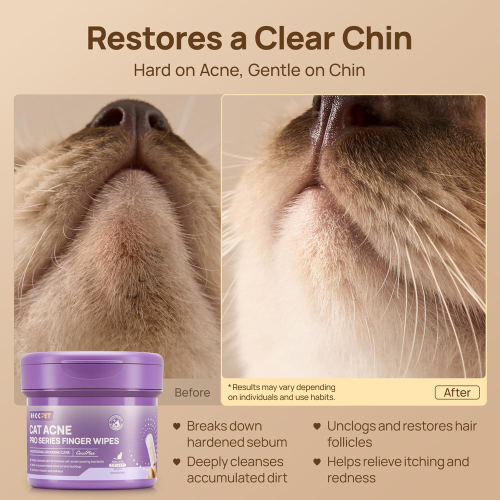 Nettoyage sans rinçage pratique pour le menton du chat.