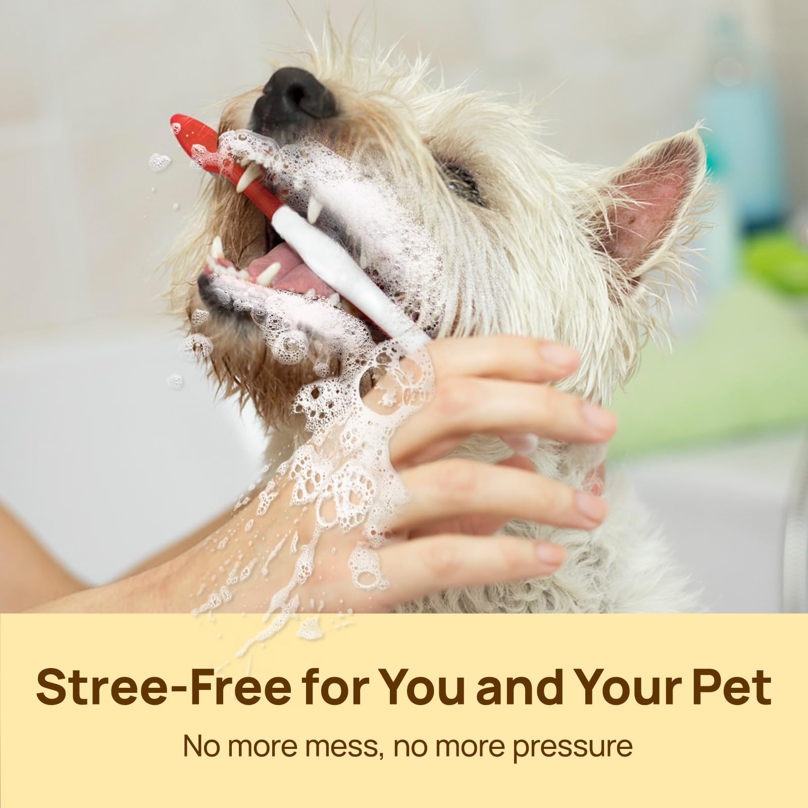 Lingettes dents HICC PET, soutien gencives et hygiène animale.