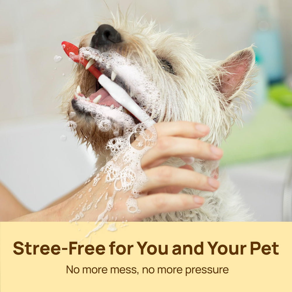 Lingettes dents HICC PET, soutien gencives et hygiène animale.