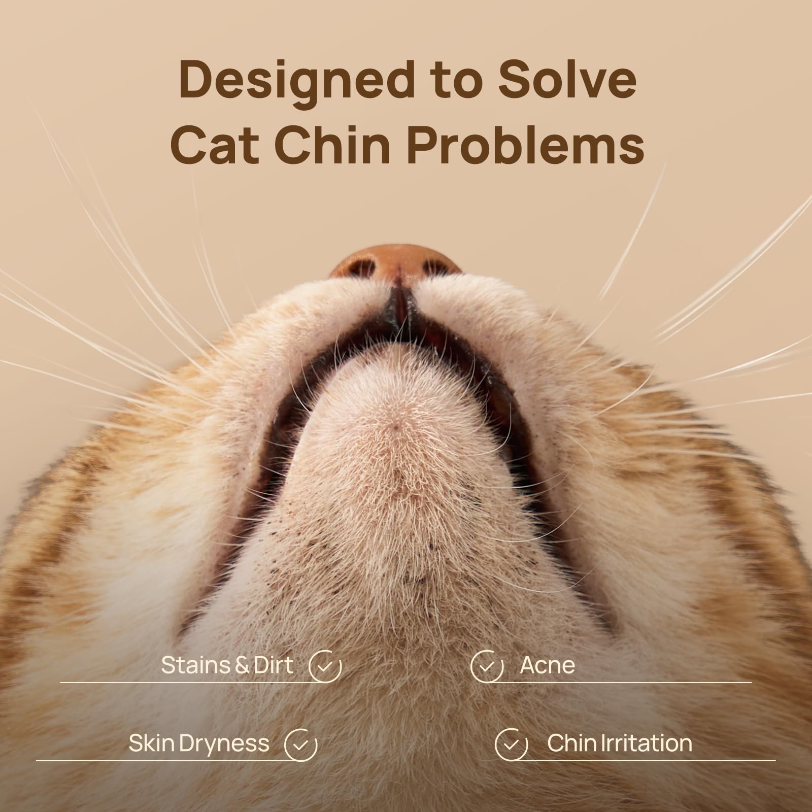 Doigt dans la lingette HICC PET nettoyant le menton du chat.