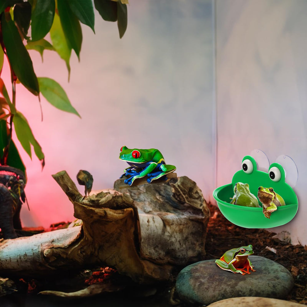 Hiceeden habitat crapaud tadpodes dans l'aquarium