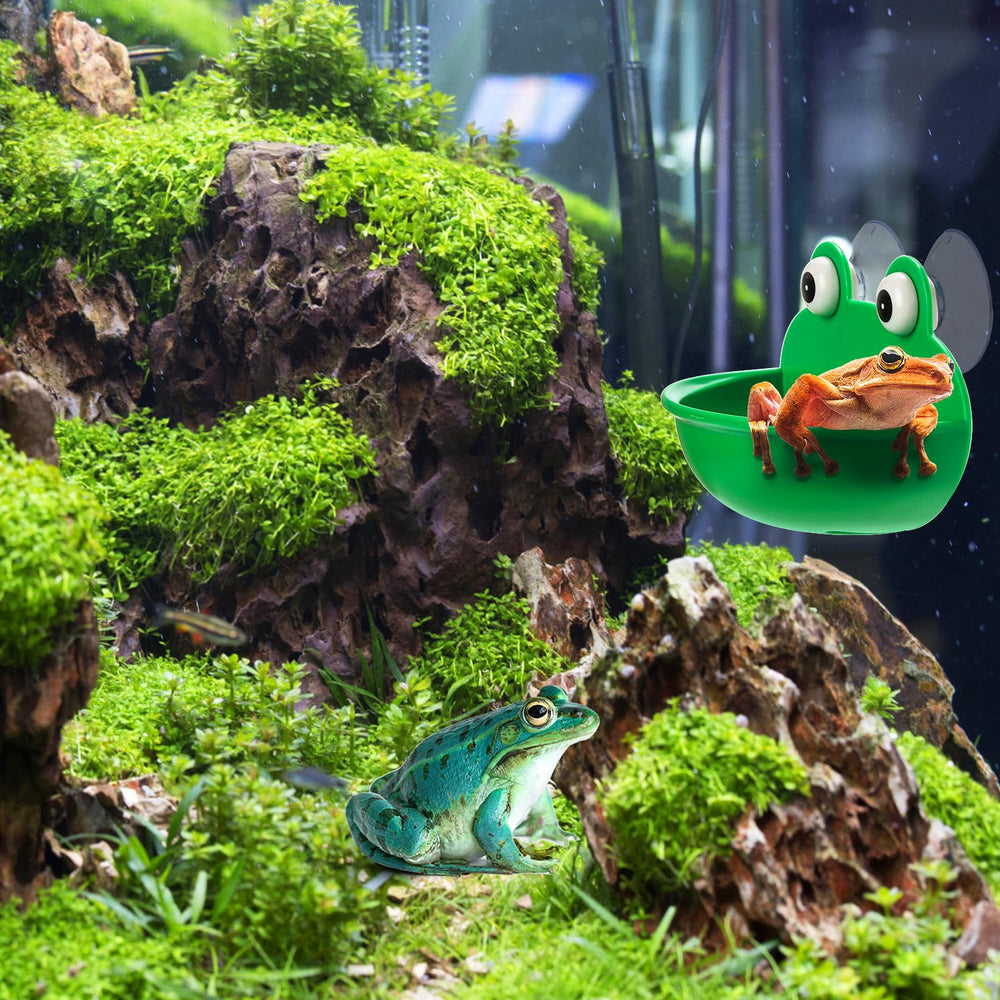 Hiceeden lot quatre-perches crapaud