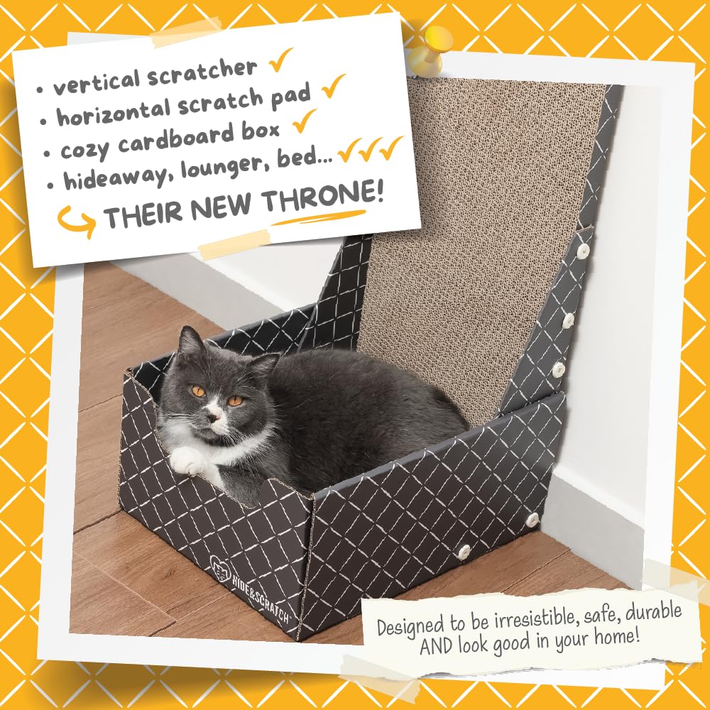 Hide & Scratch tapis-grattoir-carton double-face, surface résistante pour chats curieux.