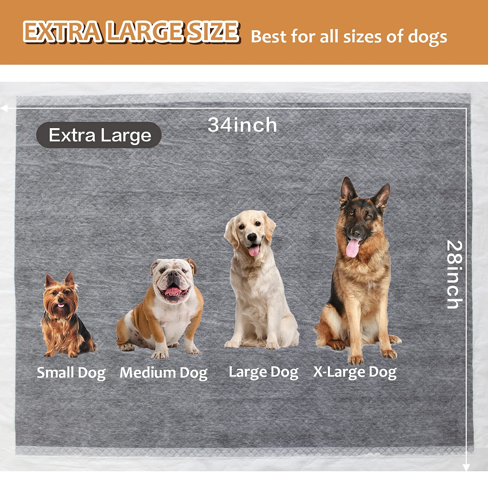 Paquet HIDOGGYLD de 40 pièces, usage intérieur et extérieur
