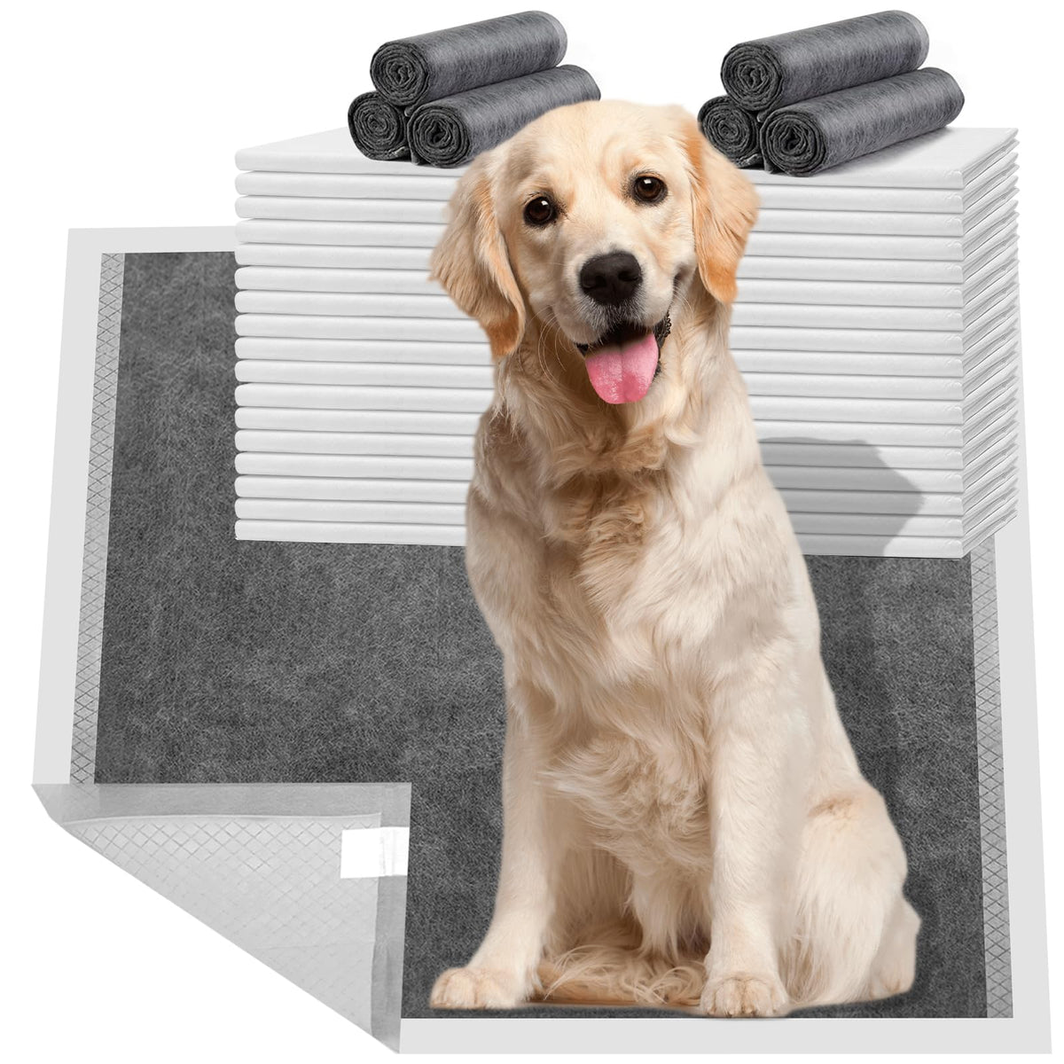 Tapis-pipi HIDOGGYLD 28x34 absorbant et protège les sols