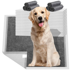 Tapis-pipi HIDOGGYLD 28x34 absorbant et protège les sols