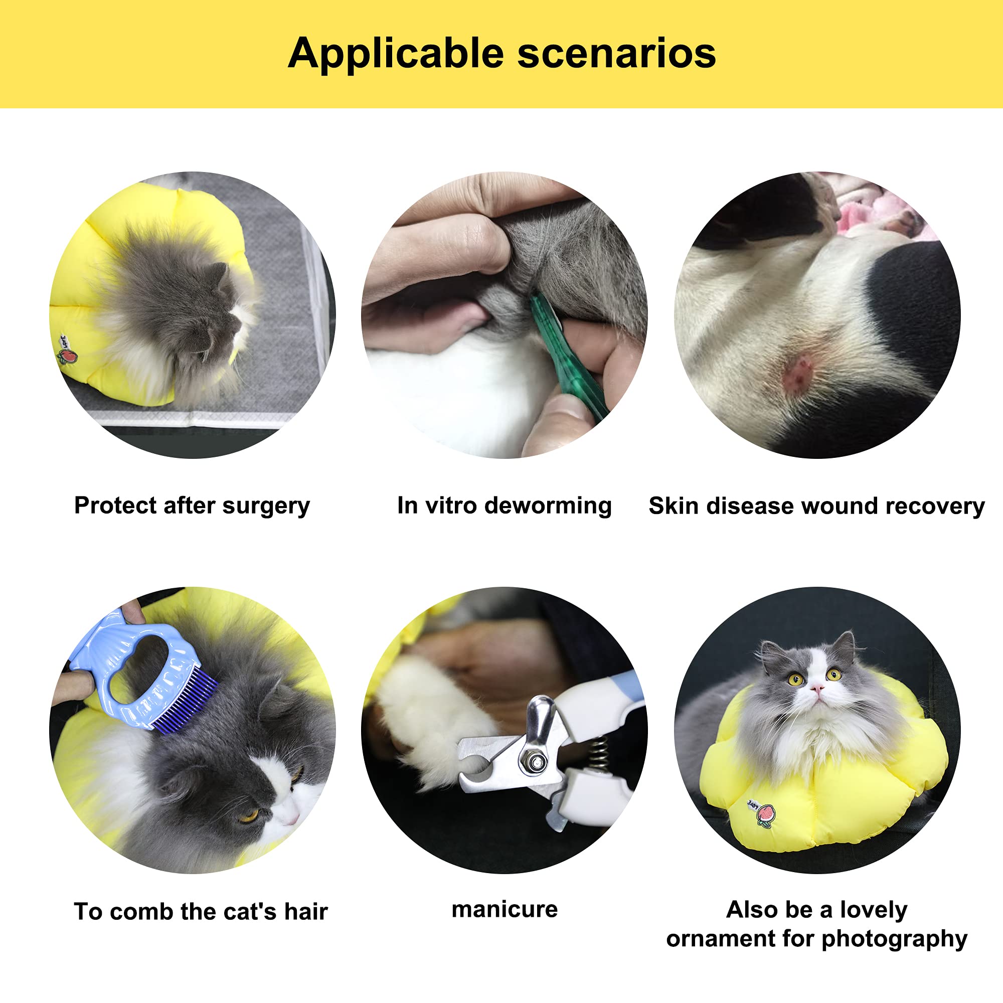 Chat mange et boit normalement avec le cône HiDREAM imperméable.