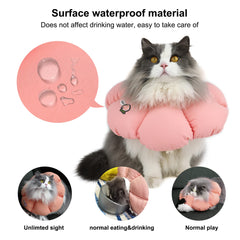 HiDREAM collier-cône chat imperméable, protège les zones sensibles et garde le sec.
