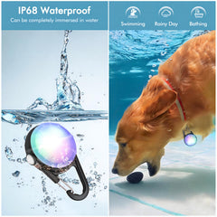 HIFORT collier chien IP68, imperméable et durable sous la pluie et en nage.