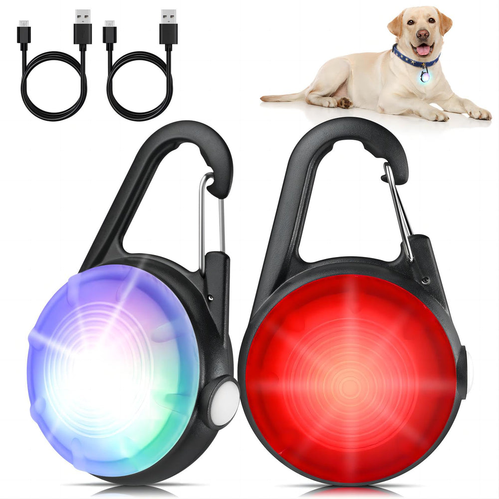 HIFORT collier chien lumière 4-modes, visibilité jusqu'à 100 mètres pour les promenades nocturnes.