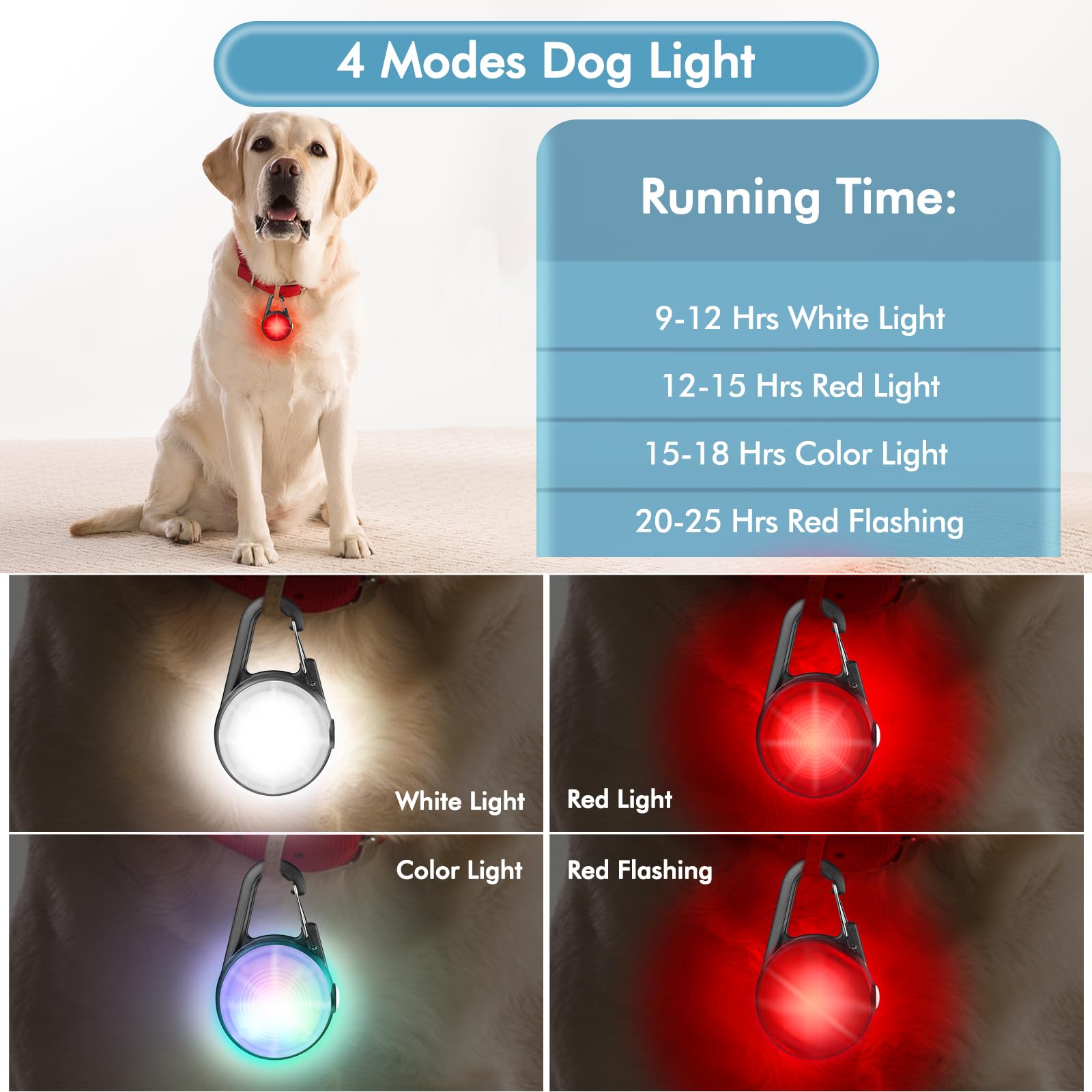 HIFORT collier chien lumière type-C recharge rapide et longue autonomie.