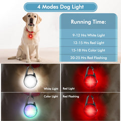 HIFORT collier chien lumière type-C recharge rapide et longue autonomie.