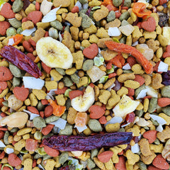 Perroquet mangeant dans son bol, Higgins Intune Harmony nourrit saveurs nutritives.